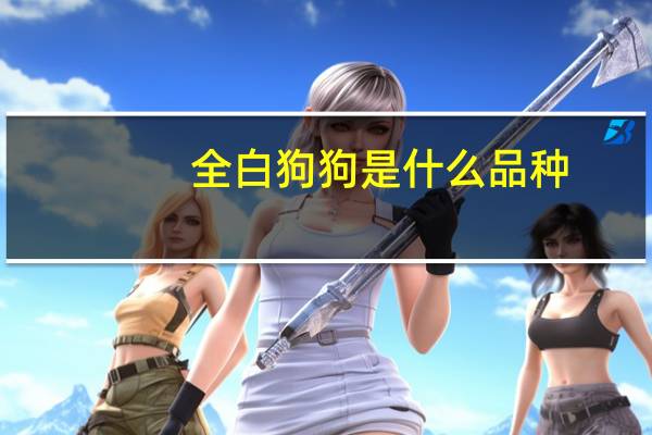 全白狗狗是什么品种