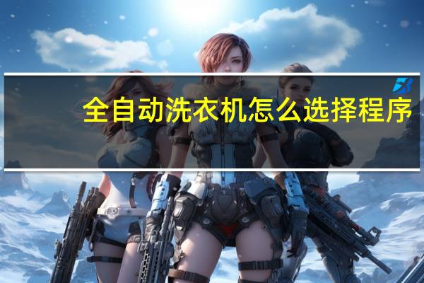 全自动洗衣机怎么选择程序
