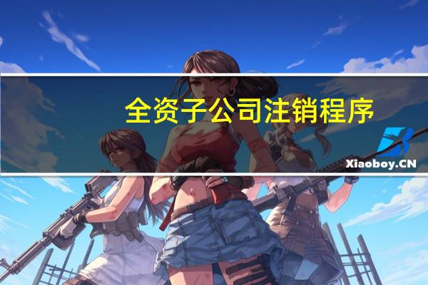 全资子公司注销程序