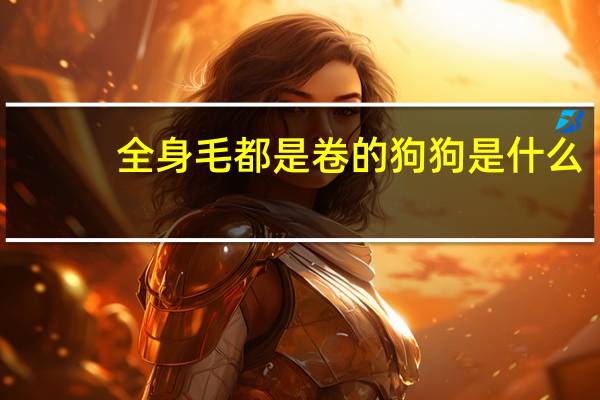 全身毛都是卷的狗狗是什么
