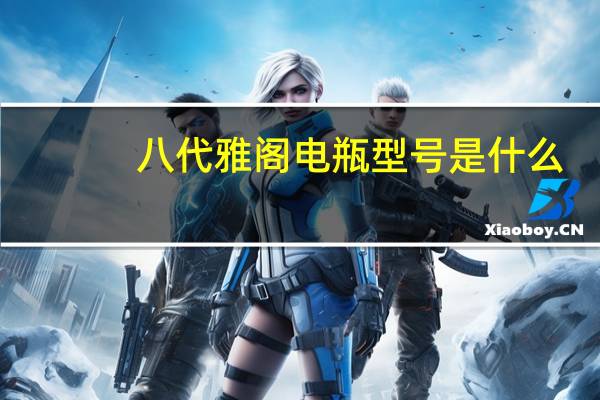 八代雅阁电瓶型号是什么？