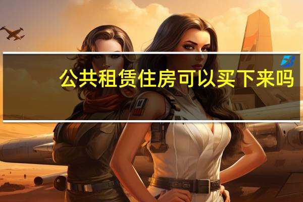 公共租赁住房可以买下来吗