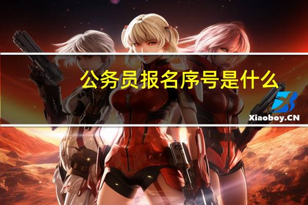公务员报名序号是什么