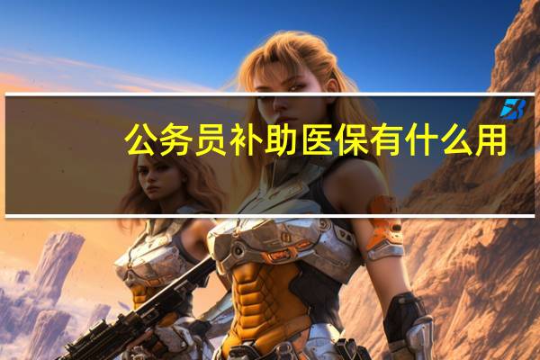 公务员补助医保有什么用
