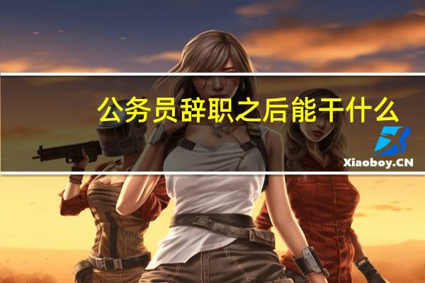 公务员辞职之后能干什么