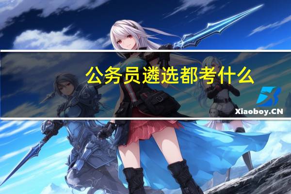 公务员遴选都考什么