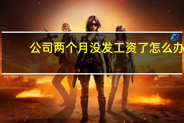 公司两个月没发工资了怎么办