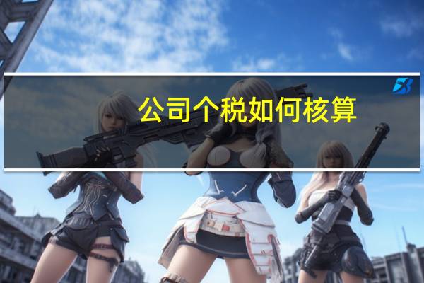 公司个税如何核算