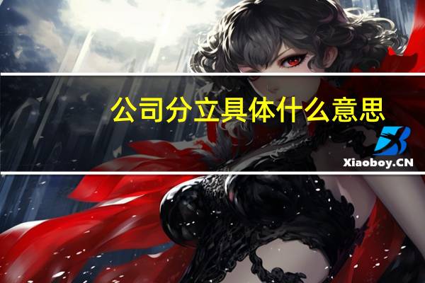 公司分立具体什么意思