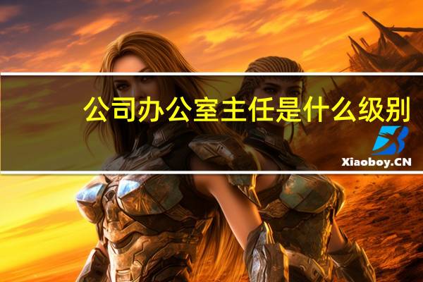 公司办公室主任是什么级别
