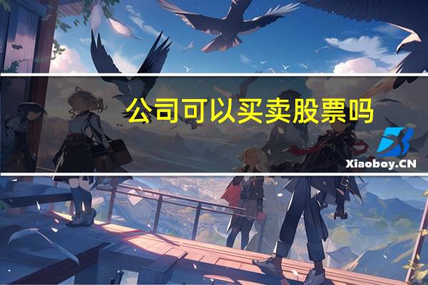 公司可以买卖股票吗