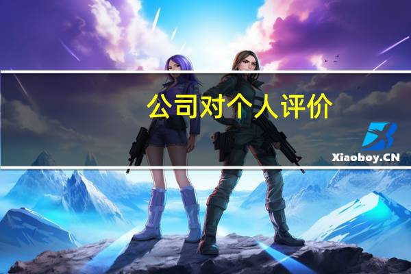 公司对个人评价