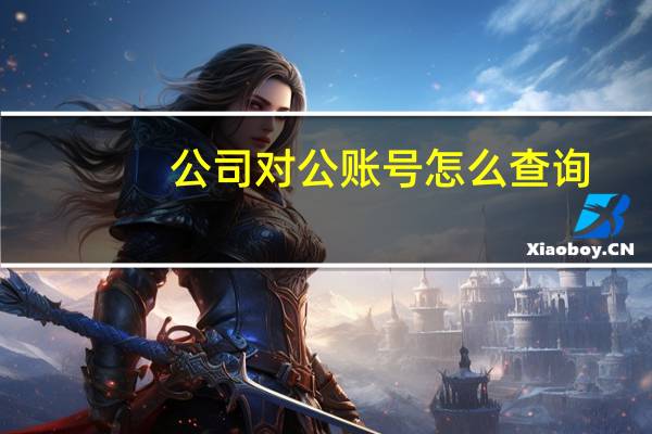 公司对公账号怎么查询