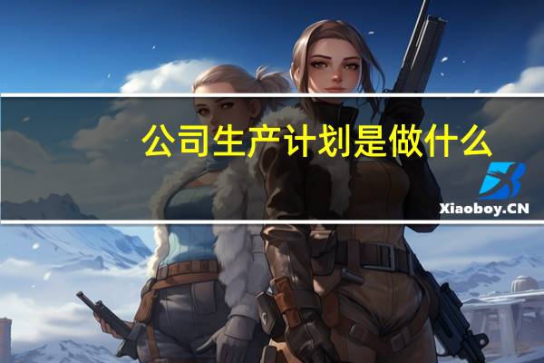 公司生产计划是做什么