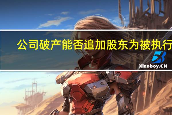 公司破产能否追加股东为被执行人