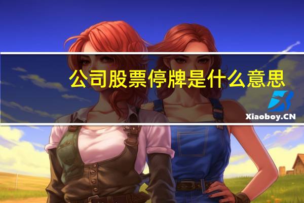 公司股票停牌是什么意思
