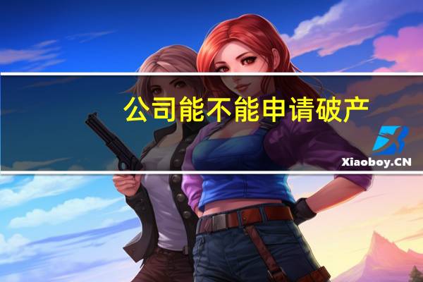 公司能不能申请破产