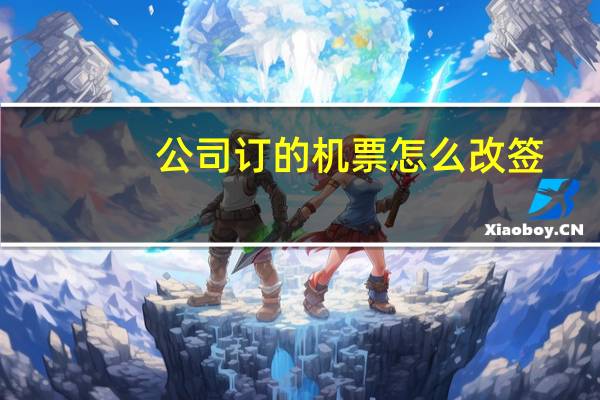 公司订的机票怎么改签