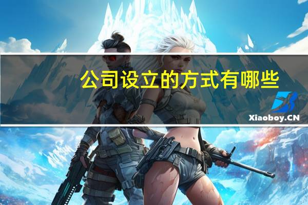 公司设立的方式有哪些