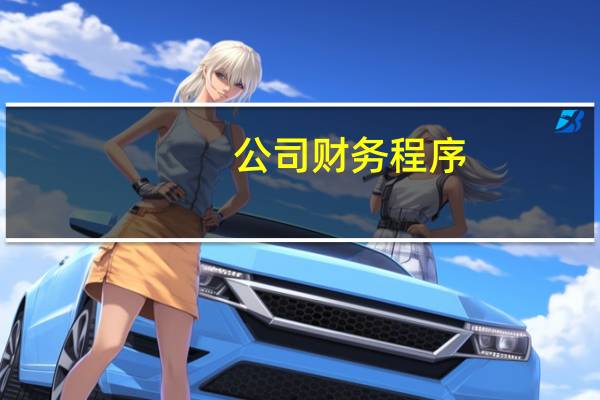 公司财务程序