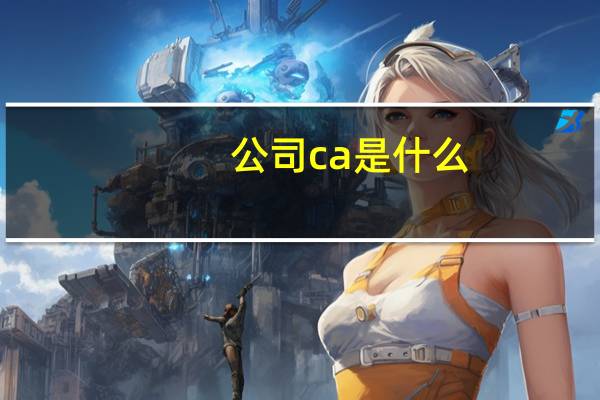 公司ca是什么