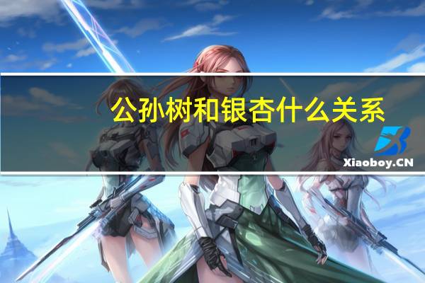 公孙树和银杏什么关系