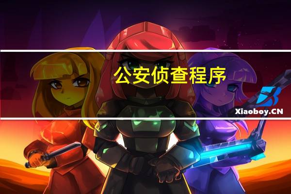 公安侦查程序