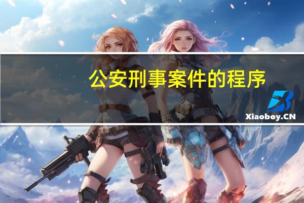 公安刑事案件的程序