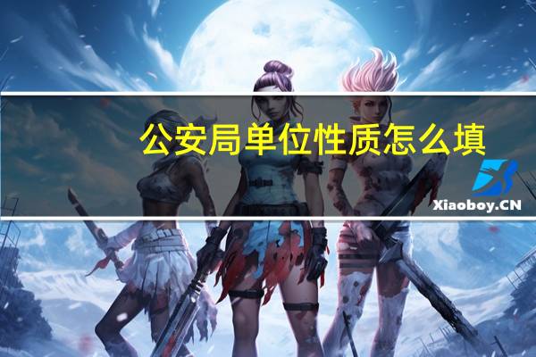 公安局单位性质怎么填