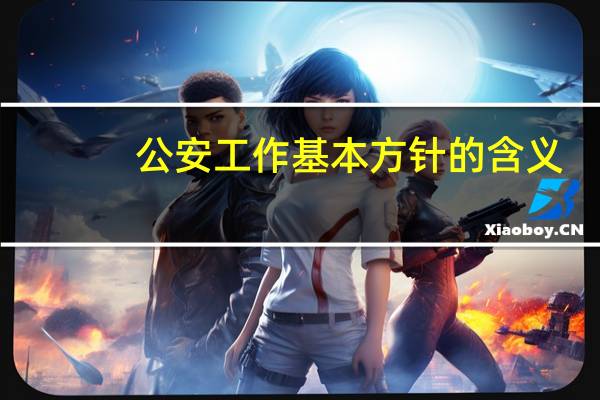 公安工作基本方针的含义