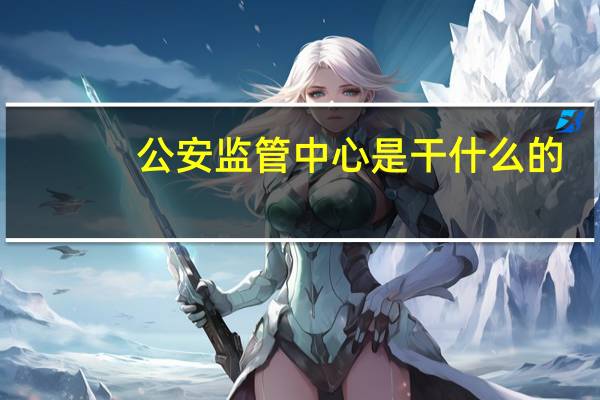 公安监管中心是干什么的