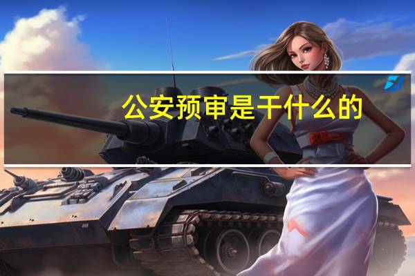 公安预审是干什么的
