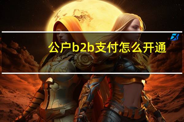 公户b2b支付怎么开通