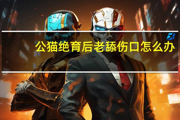 公猫绝育后老舔伤口怎么办