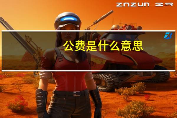 公费是什么意思