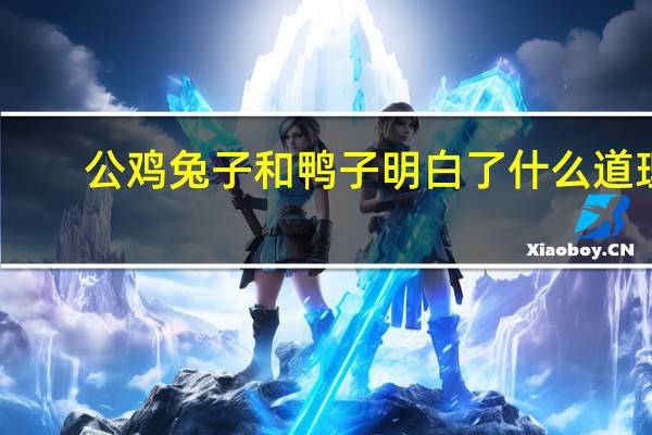 公鸡兔子和鸭子明白了什么道理