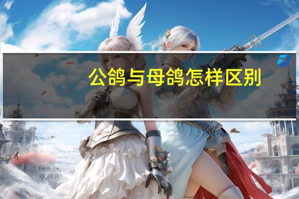 公鸽与母鸽怎样区别