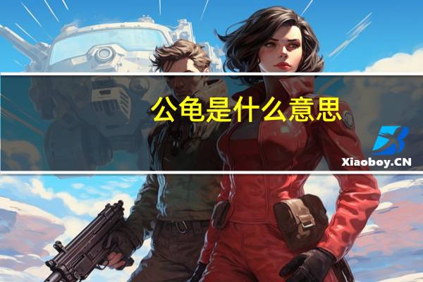 公龟是什么意思