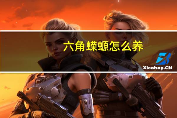 六角蝾螈怎么养