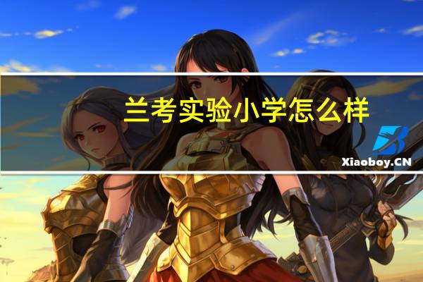兰考实验小学怎么样