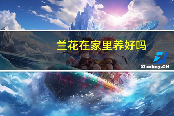 兰花在家里养好吗