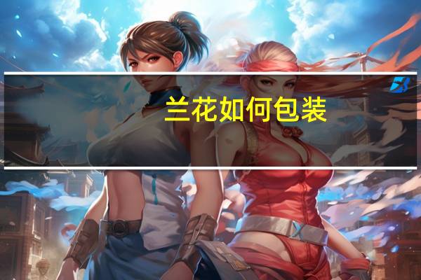 兰花如何包装