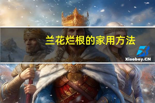 兰花烂根的家用方法