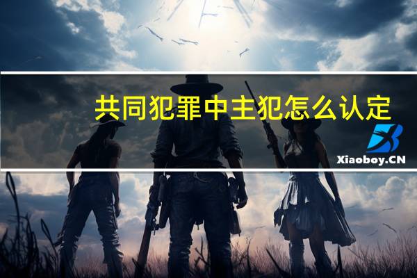 共同犯罪中主犯怎么认定