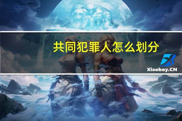 共同犯罪人怎么划分