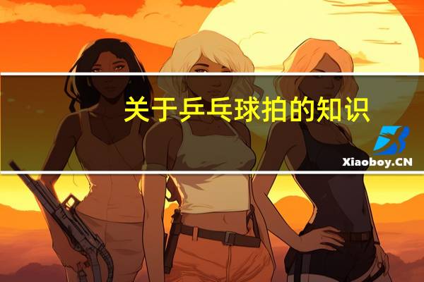 关于乒乓球拍的知识