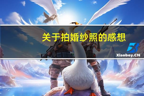 关于拍婚纱照的感想