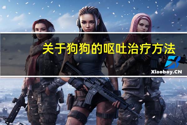 关于狗狗的呕吐治疗方法