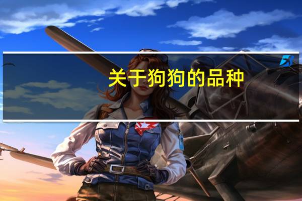 关于狗狗的品种