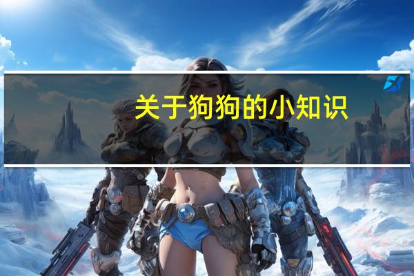 关于狗狗的小知识